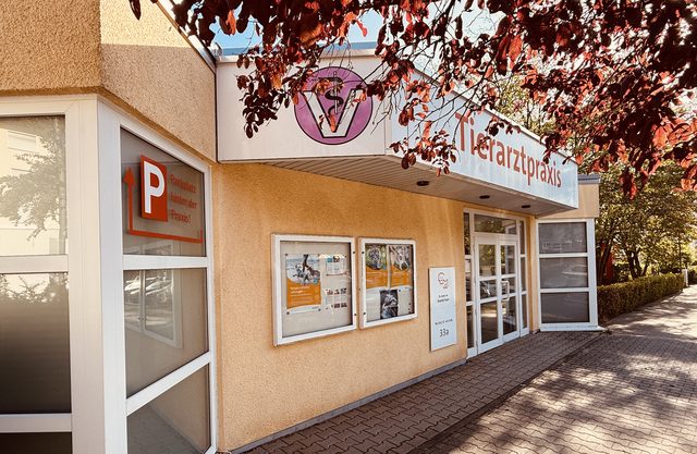 Eingang der Kleintierpraxis Oberursel in der Dornbachstraße 33a, ebenerdiger Zugang, Parkplätze hinter dem Haus