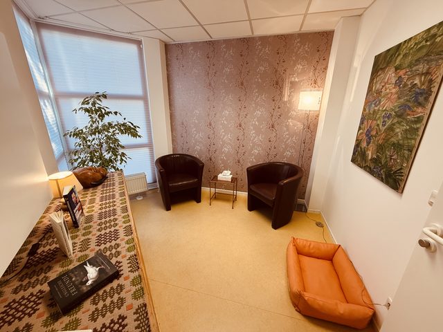 Kleiner Raum mit zwei Sesseln, Stehlampe und einem gepolsterten Körbchen