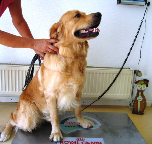 Boby auf der Waage Boby auf der Waage